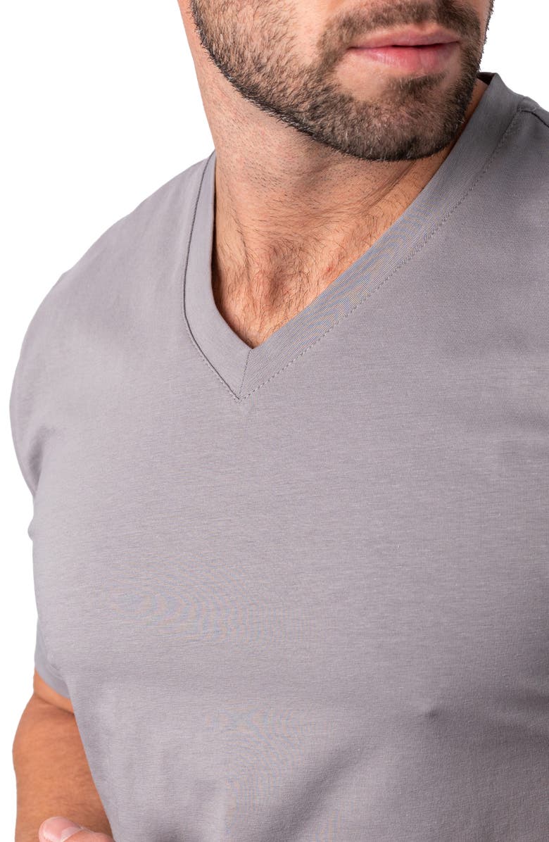 Maceoo Vivaldicore Cotton V-Neck T-Shirt, Alternate, color, Brown