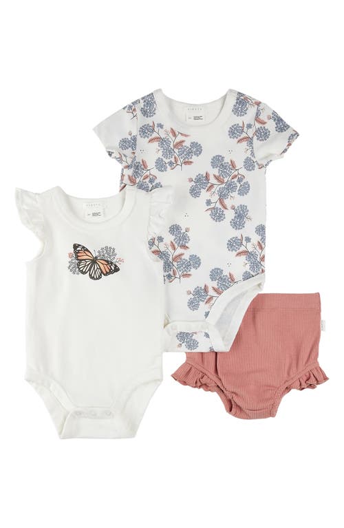 FIRSTS BY PETIT LEM FIRSTS BY PETIT LEM MAJESTIC MONARCHS 3-PIECE BODYSUITS & RIB RUFFLE BLOOMERS SET