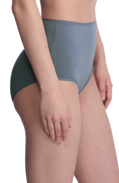 Natori Bliss Bare Cotton High Waist Brief In Gray