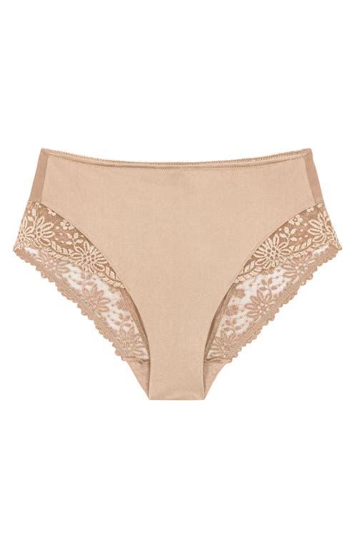 Triumph Ladyform Soft Brief Panties In Nude