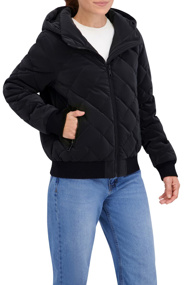 Ookie & Lala Carbon Stadium Hooded Puffer Jacket, Alternate, color, Black
