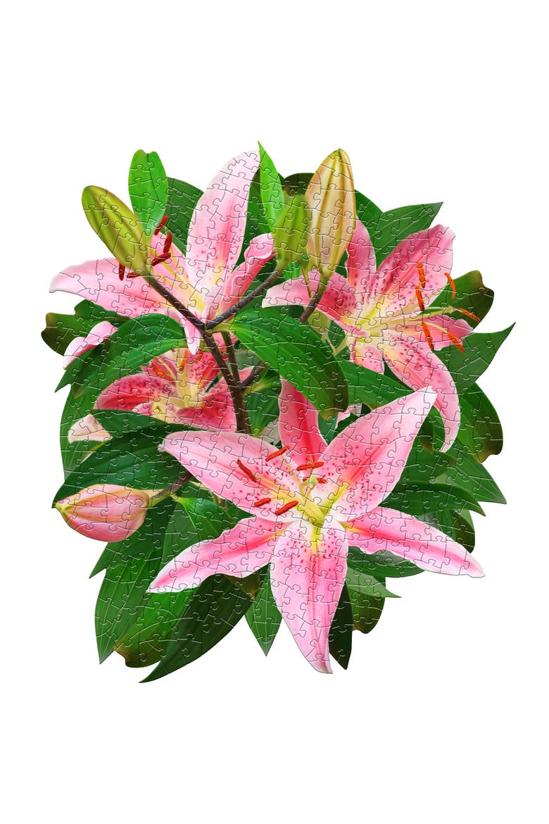 LILY 350 Piece Jigsaw Puzzle, Alternate, color, Multicolored