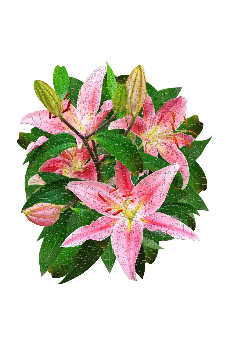 Madd Capp LILY 350 Piece Jigsaw Puzzle, Alternate, color, Multicolored
