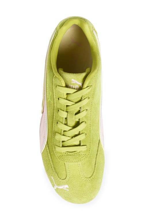 Puma Speedcat Piping Sneaker In Sea Kelp-rose Mauve