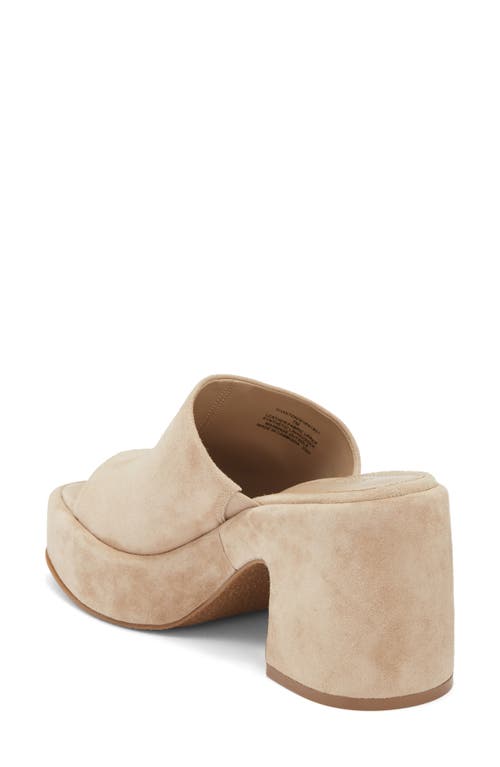 Steve Madden Shanton Platform Slide Sandal In Brown