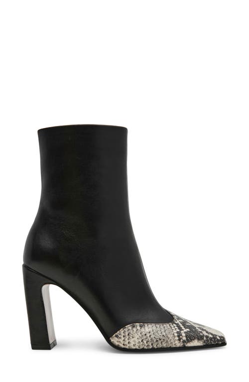 Steve Madden Lyle Cap Toe Bootie In Black