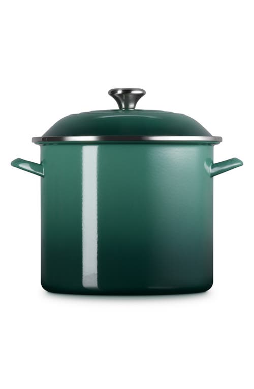 Le Creuset Enameled Stainless Steel Stockpot In Green