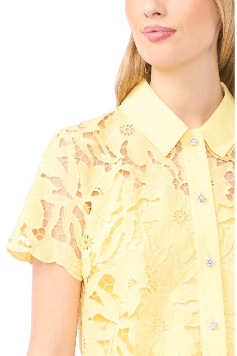 Micah Lace Embroidered Button-Up Top, Alternate, color, CREAMED CORN