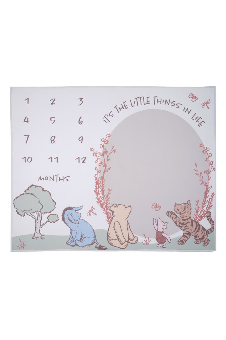 Disney Pooh Bear and Pals Photo Opp Milestone Fleece Baby Blanket, Alternate, color, White