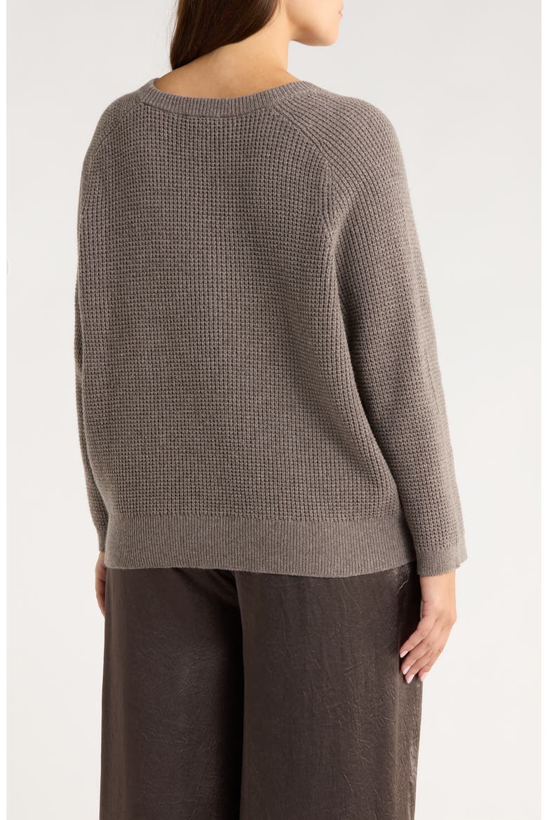 Crewneck Organic Cotton & Recycled Cashmere Sweater, Alternate, color, REED