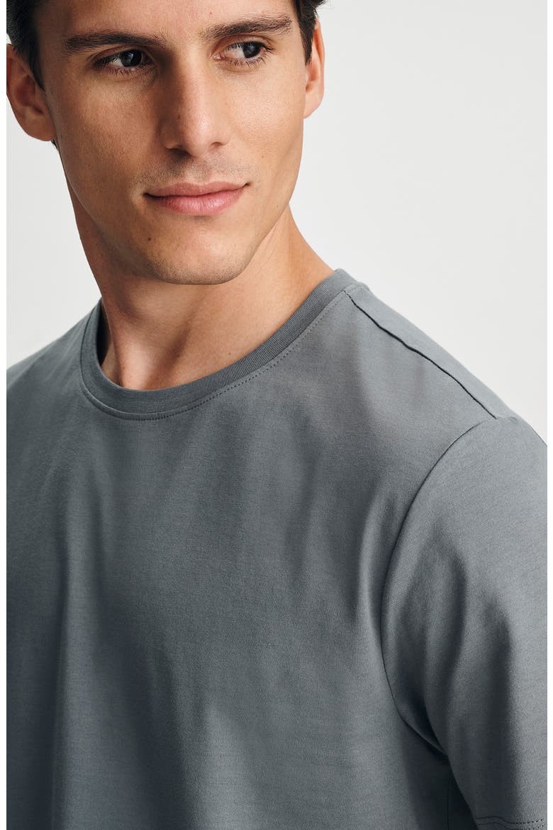 Pima Cotton Crewneck T-Shirt, Alternate, color, STORMY WEATHER
