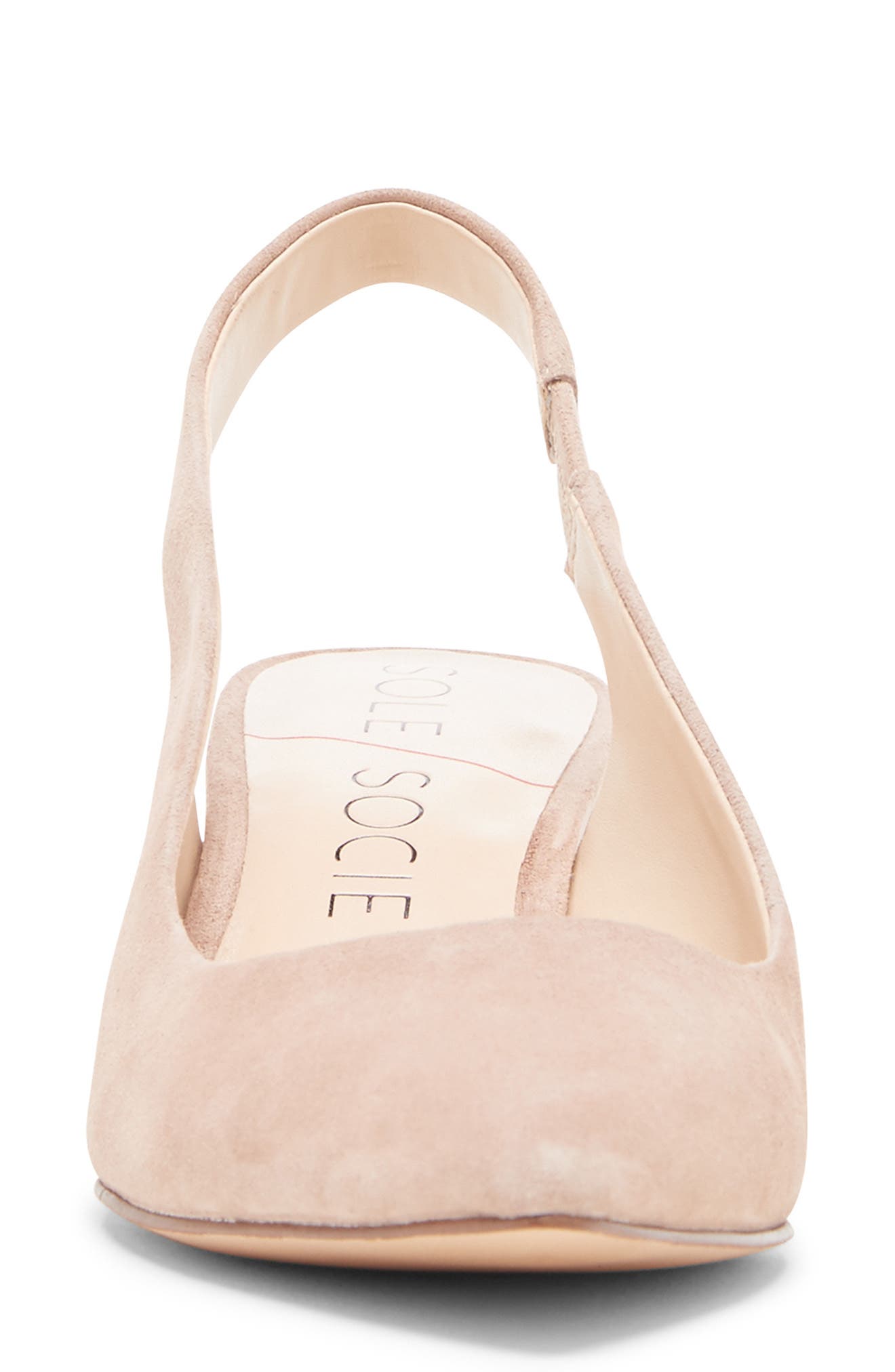Keilinah Slingback Pointy Toe Pump, Alternate, color, DUSTY ROSE SUEDE
