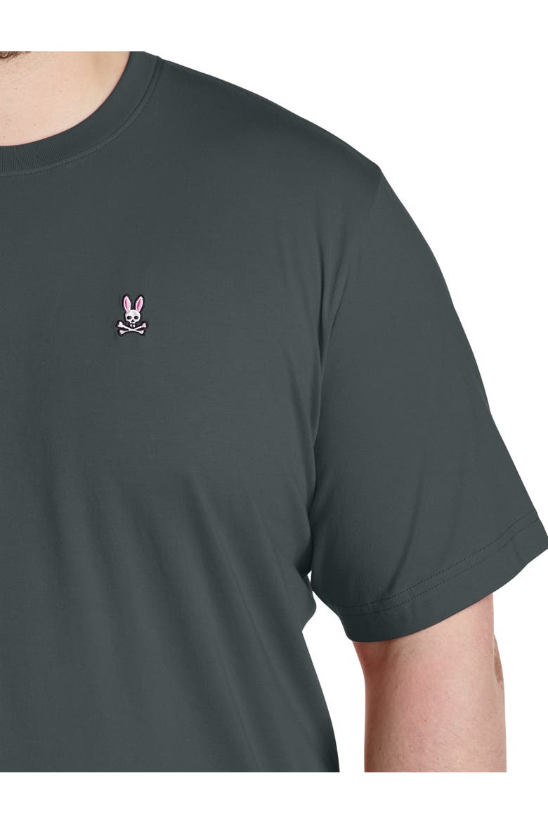 Big & Tall Crewneck T-Shirt, Alternate, color, URBAN CHIC