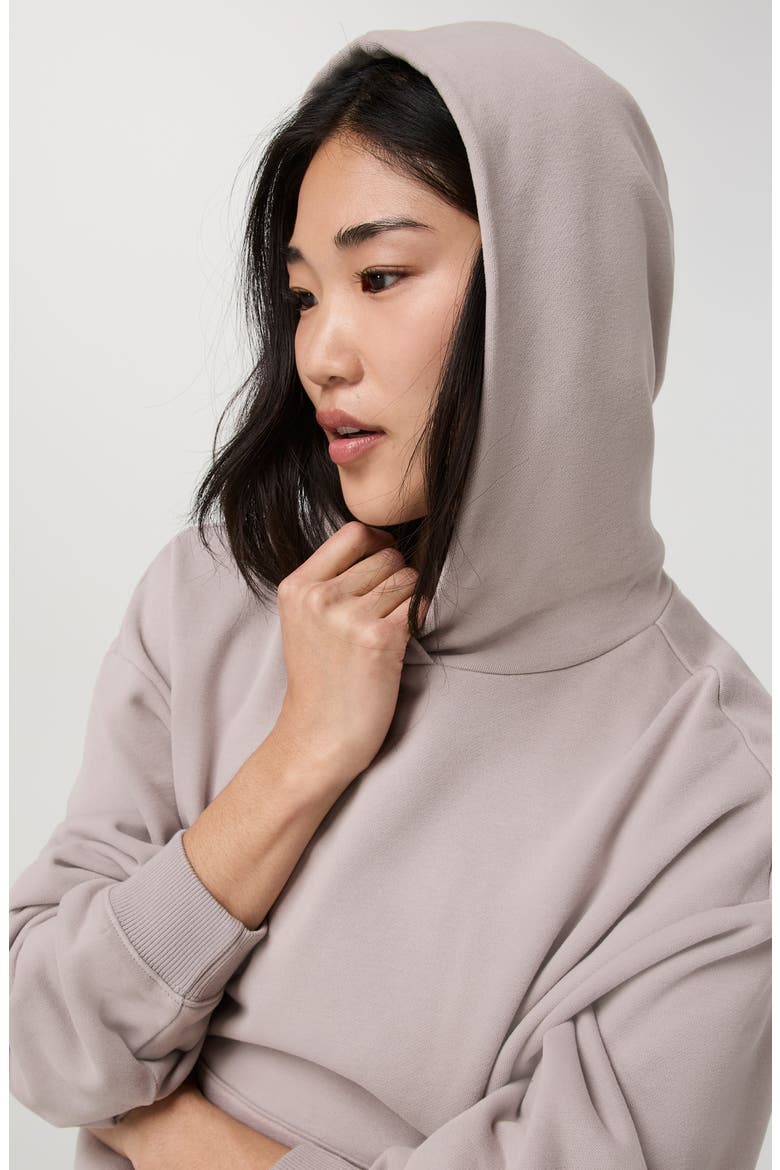 Sedona Classic Pullover Hoodie, Alternate, color, SOFT PEWTER