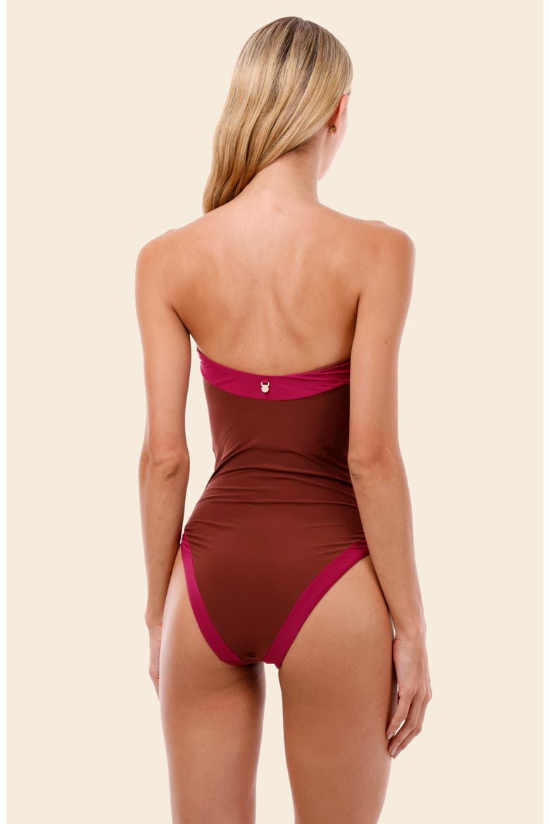 Lunaria Colorblock One-Piece Swimsuit, Alternate, color, RASPBERRY COLOR BLEND