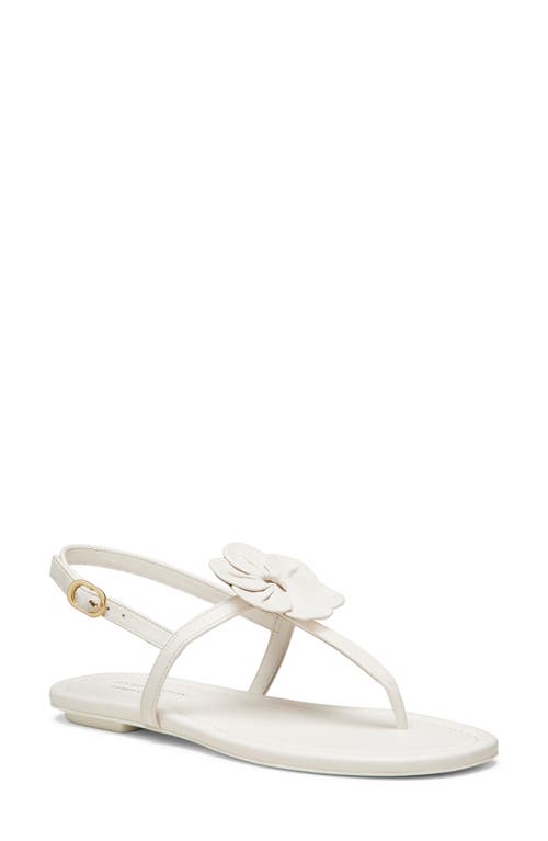 Stuart Weitzman X Sandy Liang T-strap Slingback Sandal In Cream