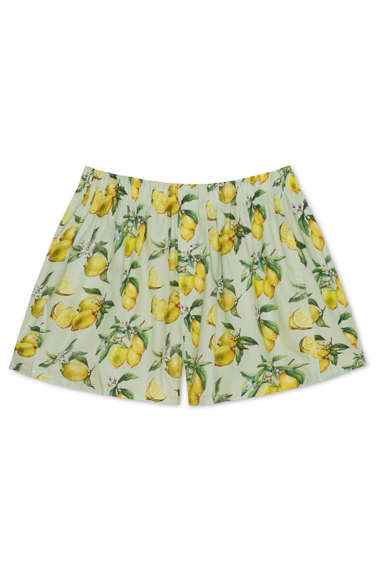 Druthers NYC Organic Cotton Watercolor Lemons Boxer Short, Main, color, Mint