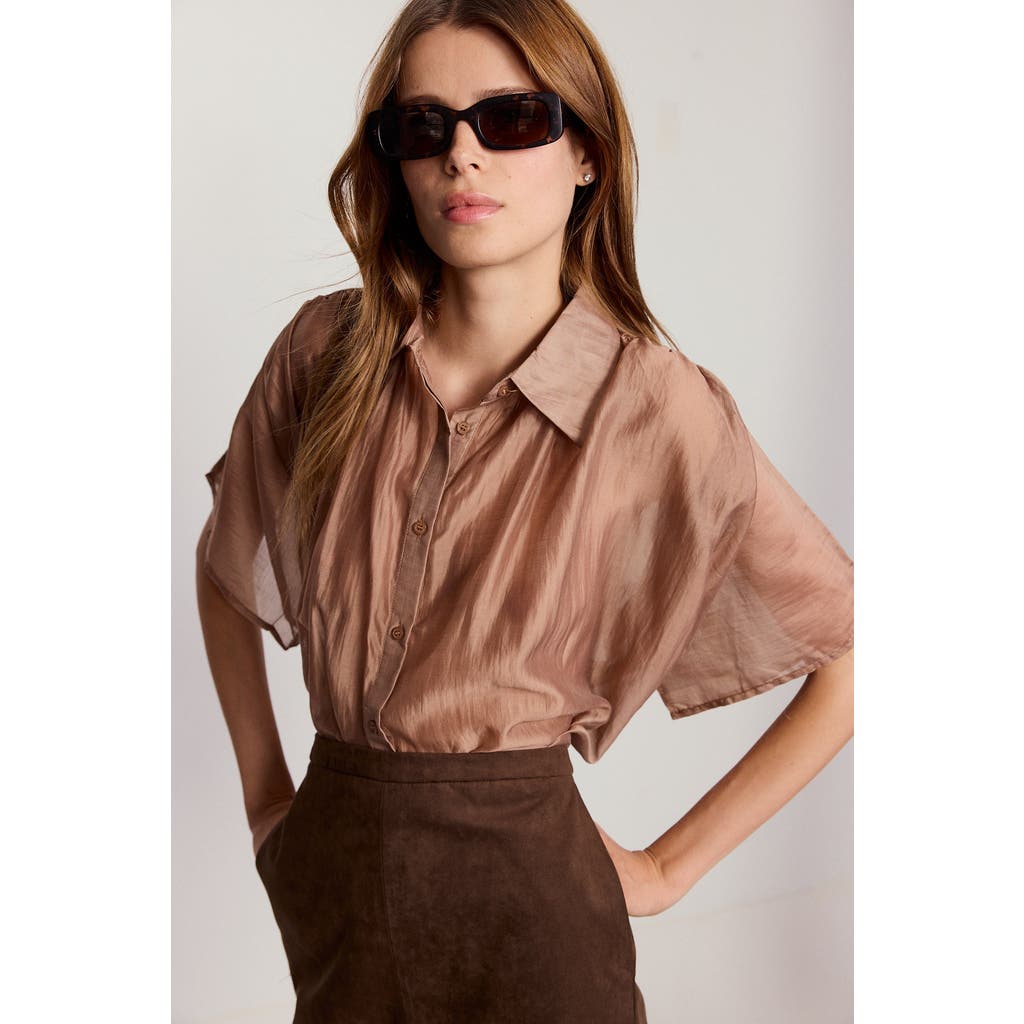 The Shirt By Rochelle Behrens The Hayden Shirt In Brown