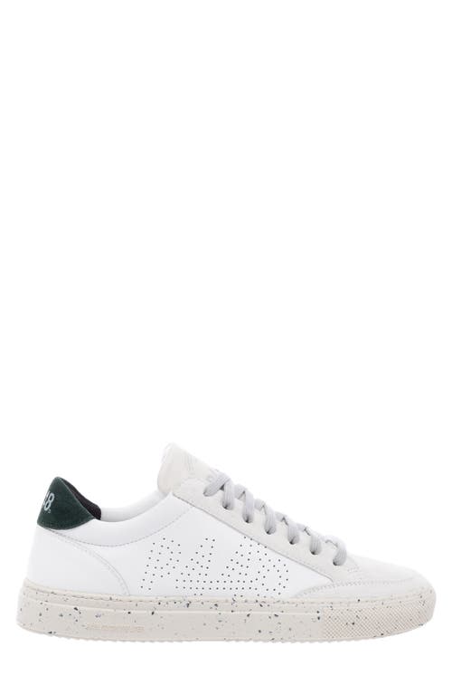 P448 Soho Sneaker In Multi
