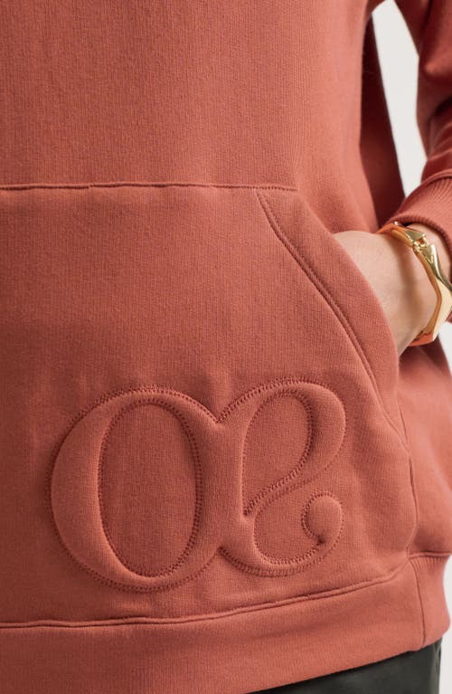 Cache Couer Boston Maternity & Nursing Hoodie In Brown