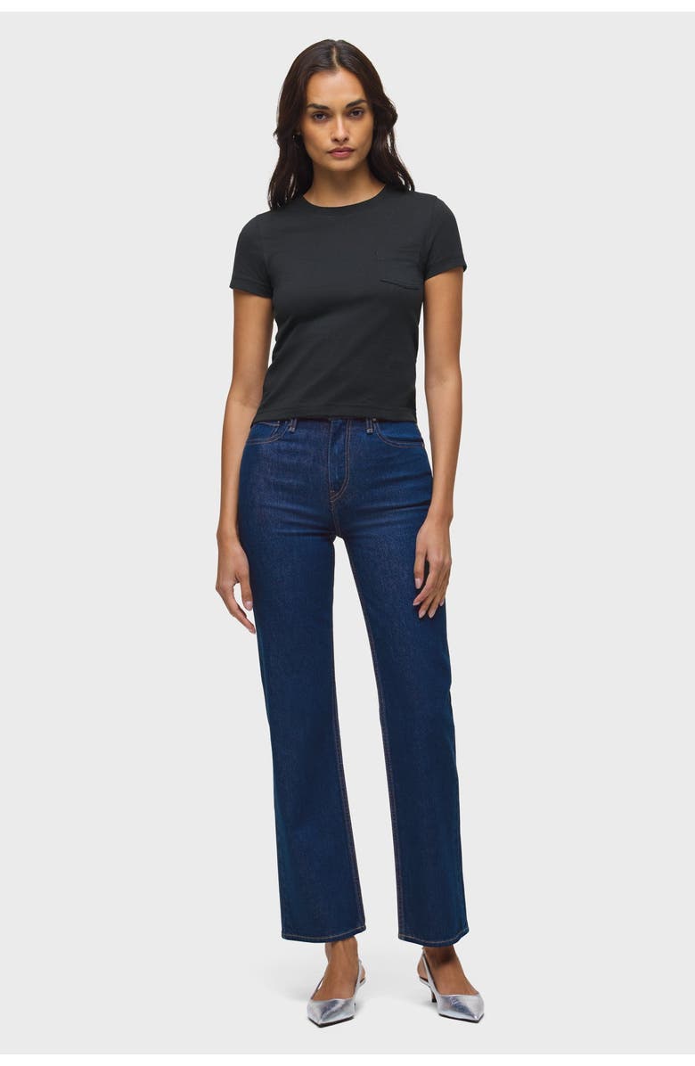 Hudson Jeans Remi High-Rise Straight, Alternate, color, Rinse