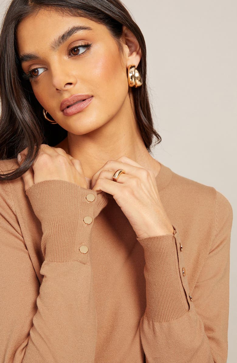 Friends Like These Lightweight Sweater, Alternate, color, Brown