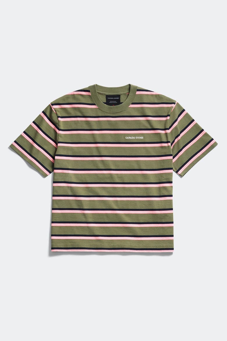 Roam Striped T-Shirt, Main, color, Vireo Green Stripe