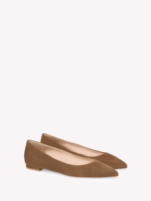 Gianvito Rossi Suede Pointed-toe Ballerina Flats In Brown