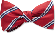 Beau Ties of Vermont Sheridan Bow Tie