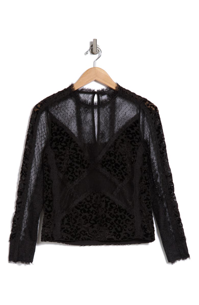 AllSaints Mila Lace & Velvet Blouse, Alternate, color, 