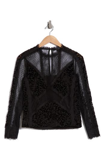 Allsaints Mila Lace & Velvet Blouse In Black
