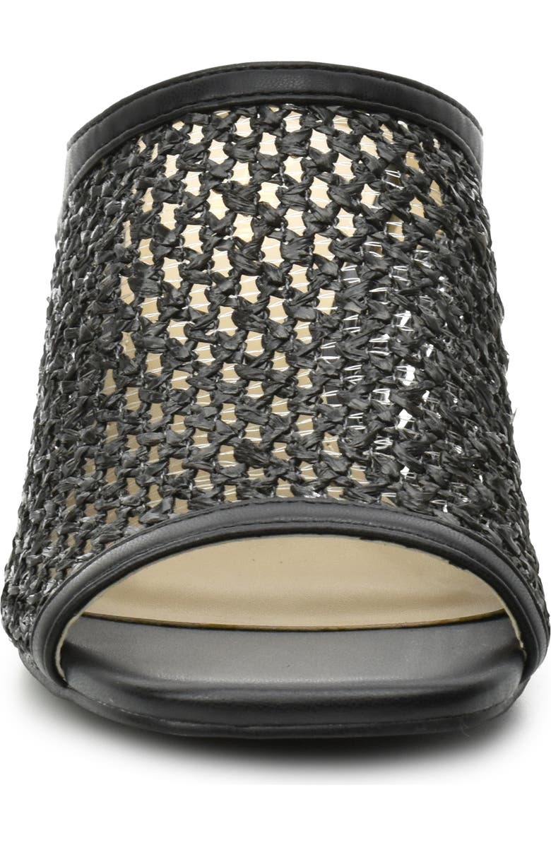 Catherine Catherine Malandrino Levot Braided Raffia Mule, Alternate, color,