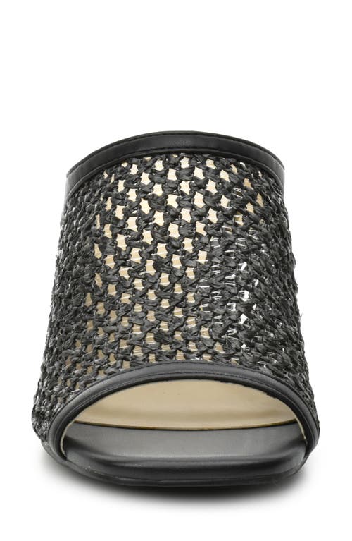 Catherine Catherine Malandrino Levot Braided Raffia Mule In Black