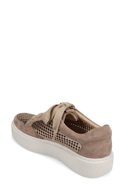 Vaneli Yago Platform Sneaker In Shell