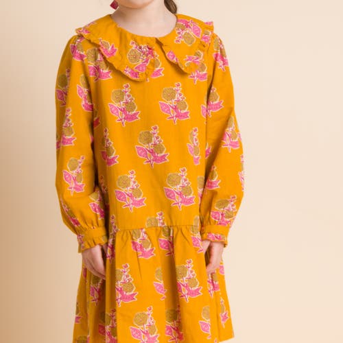 Beet World Girls' Wide Collar Long Sleeve Dress With Low Waist In Mustard And Pink