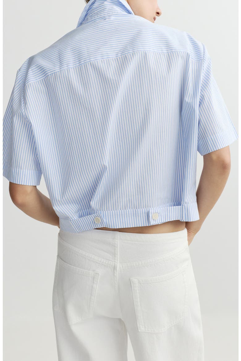 Carlee Stripe Woven Crop Top, Alternate, color, PICNIC
