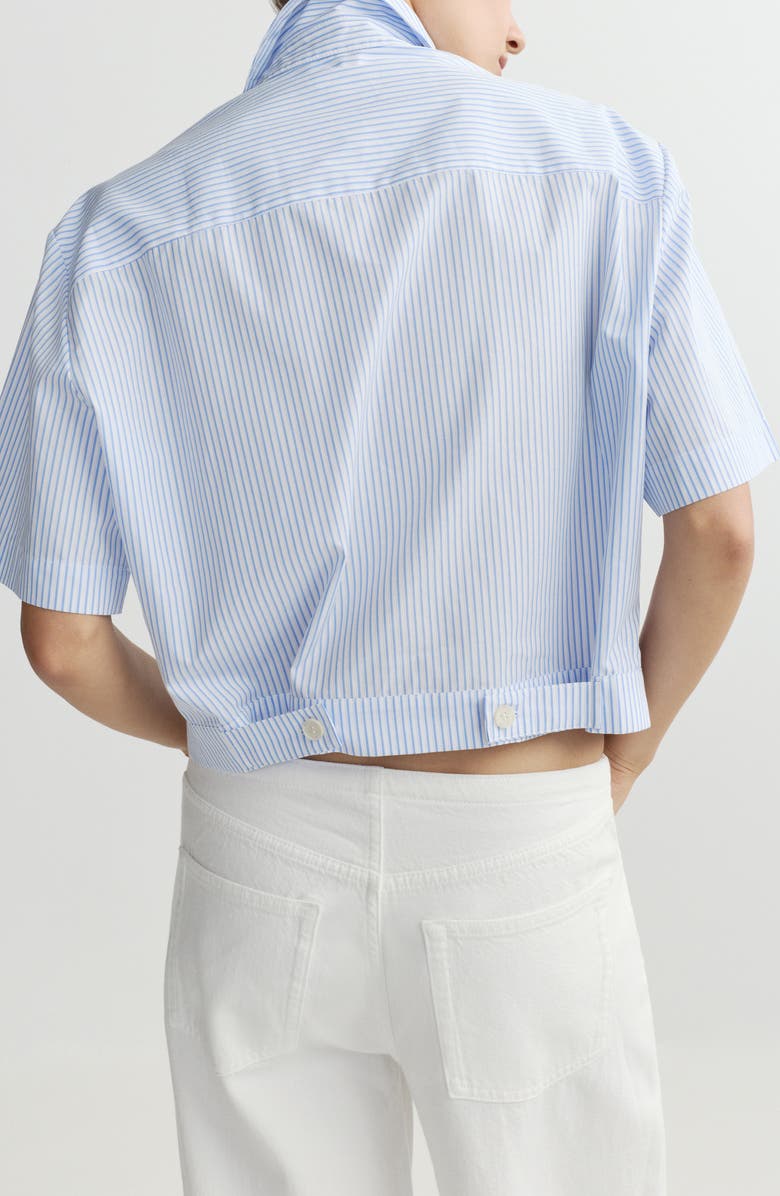 DL1961 Carlee Stripe Woven Crop Top, Alternate, color, Picnic