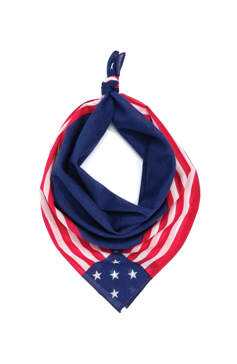 Echo Stars And Stripes Bandana, Alternate, color, Navy