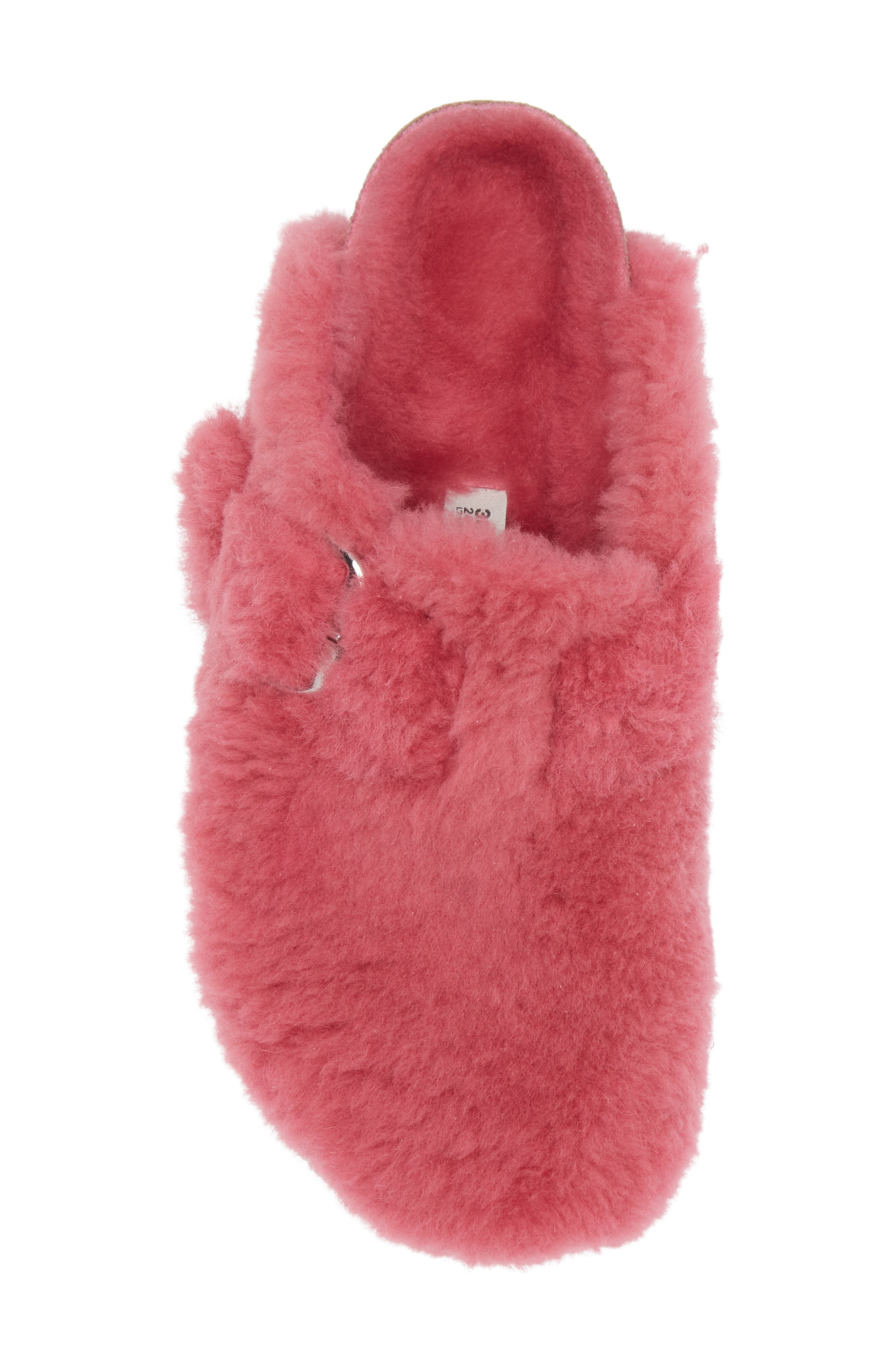 Birkenstock Boston Big Buckle Genuine Shearling Clog - Discontinued, Alternate, color, Fuchsia Tulip