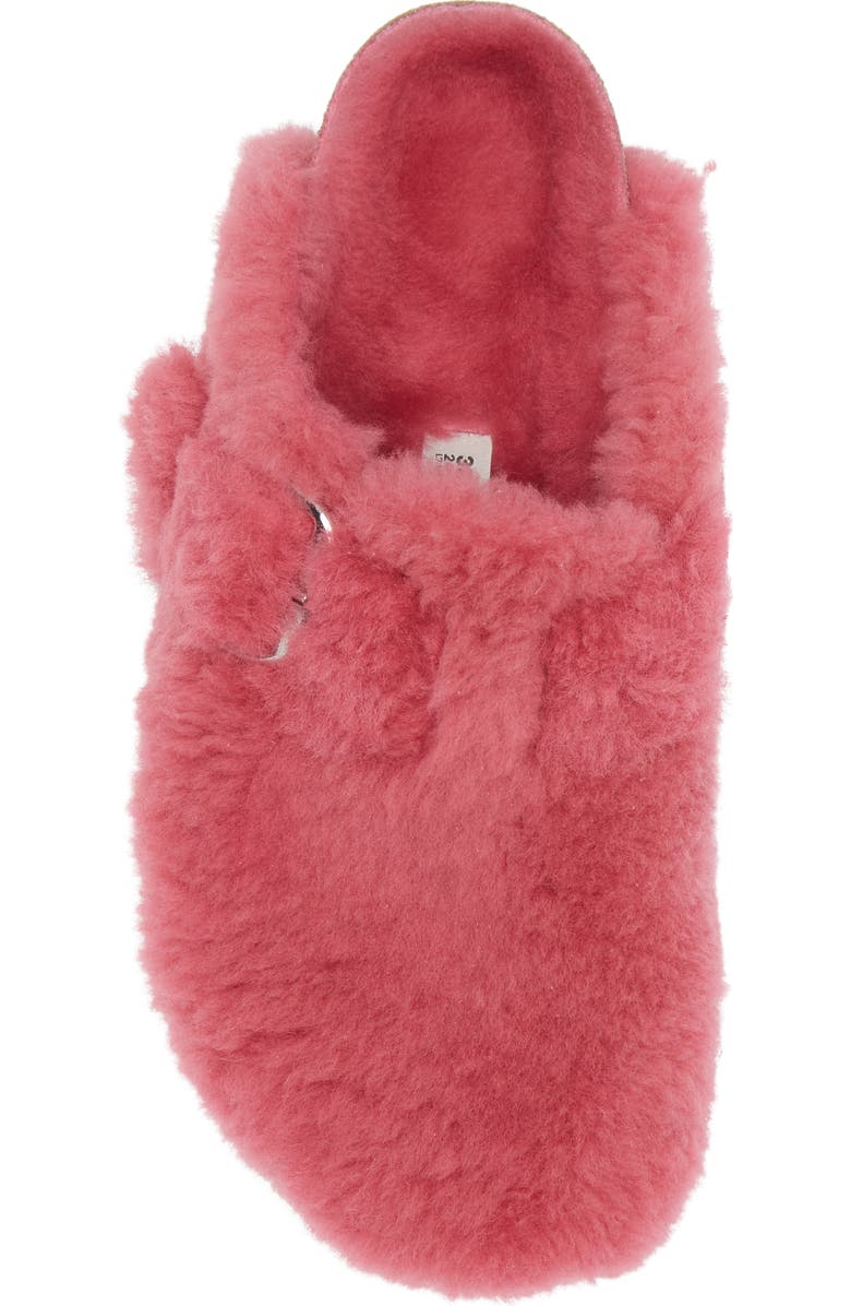 Birkenstock Boston Big Buckle Genuine Shearling Clog - Discontinued, Alternate, color, Fuchsia Tulip