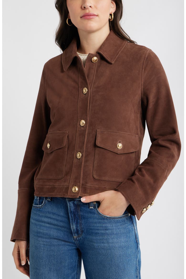 Button Front Suede Jacket, Alternate, color, BROWN