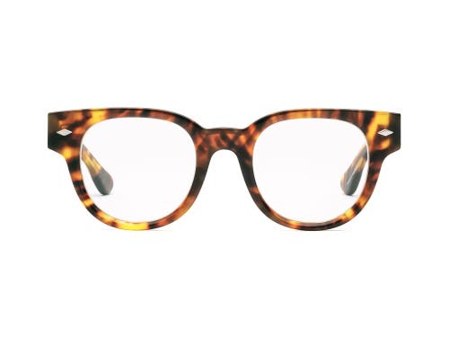 Caddis Dohbro | Reading Glasses In Brown