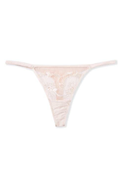 Etam Amaryllis Embroidered Thong In White