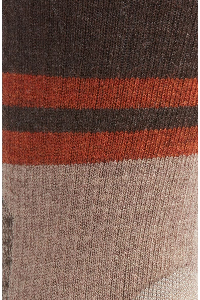 Hike Full Cushion Lolo Trail Wool Blend Crew Socks, Alternate, color, FOSSIL
