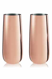 Summit Set of 2 Metallic Sparkling Wine Flutes