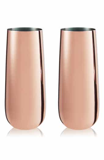 Summit Set of 2 Metallic Sparkling Wine Flutes