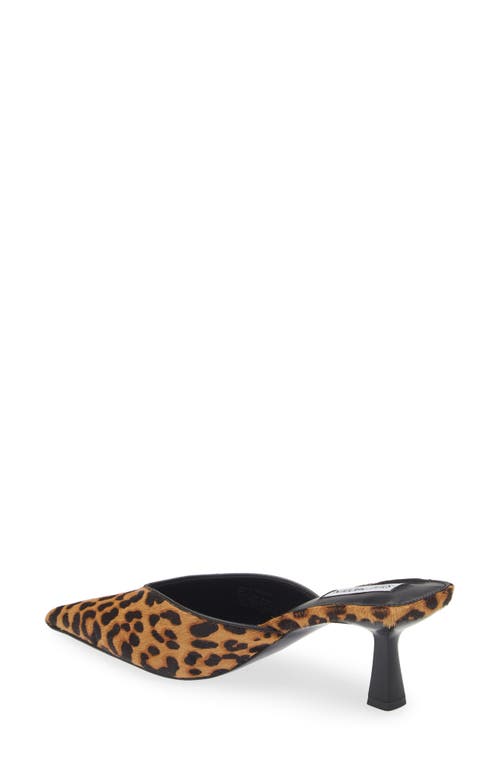 Shop Steve Madden Mod-a Leopard Print Genuine Calf Hair Mule