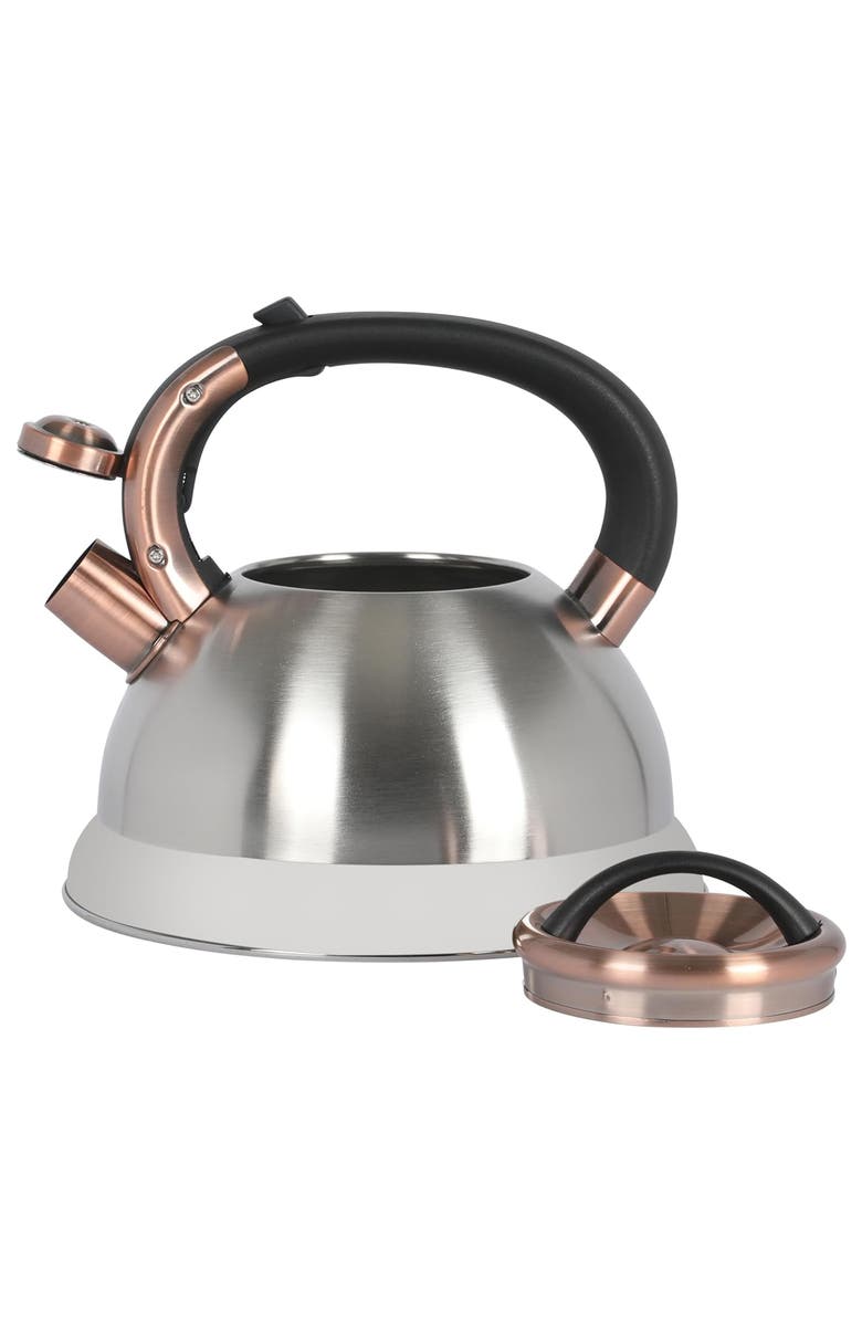 Mr. Coffee Flintshire 2.2 Quart Stainless Steel Whistling Tea Kettle W/ Nylon Handle, Alternate, color, Metallic Silver