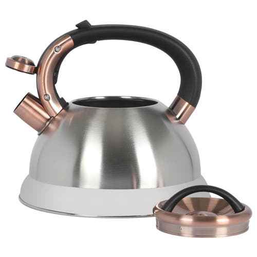 Mr Coffee Mr. Coffee Flintshire 2.2 Quart Stainless Steel Whistling Tea Kettle W/ Nylon Handle In Silver