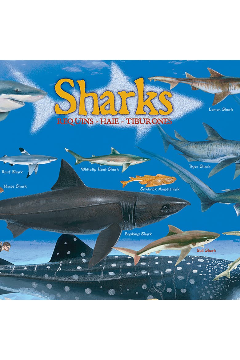 Shark Chart Puzzle, 100 Pieces, Alternate, color, Multicolored